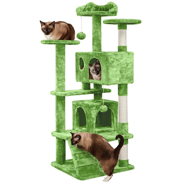 Grüner Katzenkratzbaum mit drei Katzen