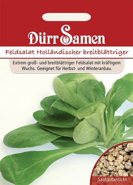 Samentüte Feldsalat Holländischer breitblättriger von Dürr Samen mit Abbildung von frischem Feldsalat und Detailansicht der Samen.