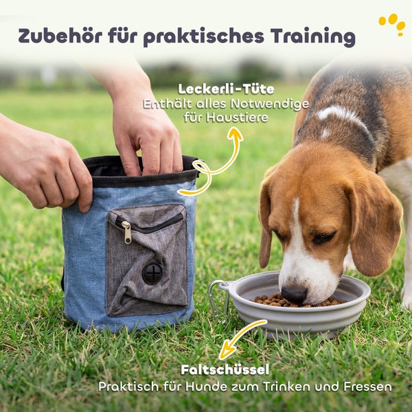 Hunde-Trainingsset mit Leckerlibeutel und grauer Faltschüssel auf Rasen, Hände greifen in den Beutel, ein Beagle frisst aus dem Napf.