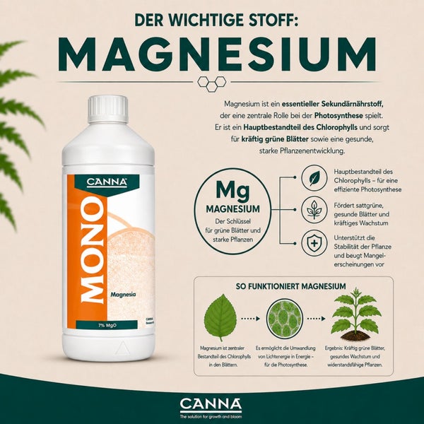 Canna Mono Magnesia Pflanzennährstoff Flasche mit Infografik zur Bedeutung von Magnesium für Photosynthese und gesundes Pflanzenwachstum.