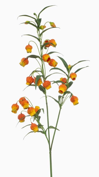 Künstliche Sandersonia mit orange-gelben Glockenblüten und grünen Blättern.