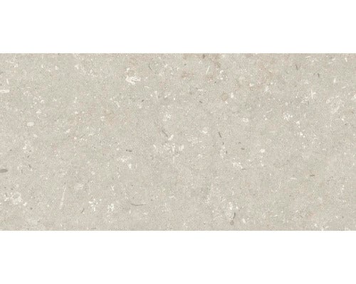 Wand- und Bodenfliese Shellstone beige 30x60cm