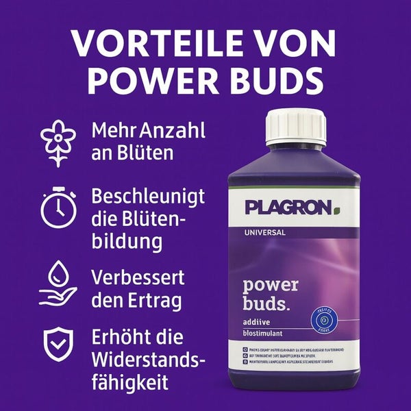 Plagron Power Buds Zusatzstoff in einer Flasche mit Vorteilen wie erhöhte Blütenanzahl und verbesserte Widerstandsfähigkeit