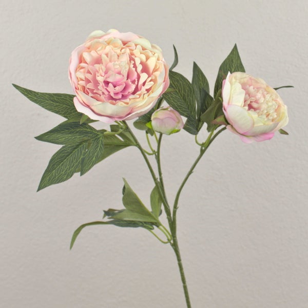 Künstliche Pfingstrose mit zwei rosa-cremefarbenen Blüten, einer Knospe und grünen Blättern an einem langen Stiel.