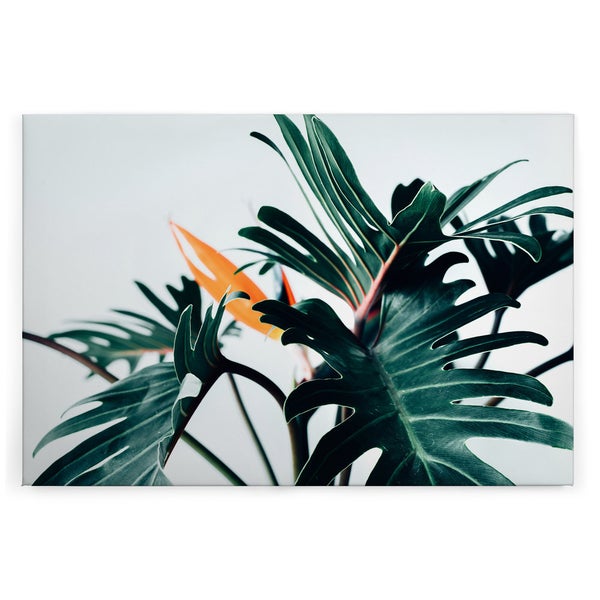 Wandbild mit einer tropischen Pflanze und leuchtend orangener Blüte als hochwertiger Kunstdruck