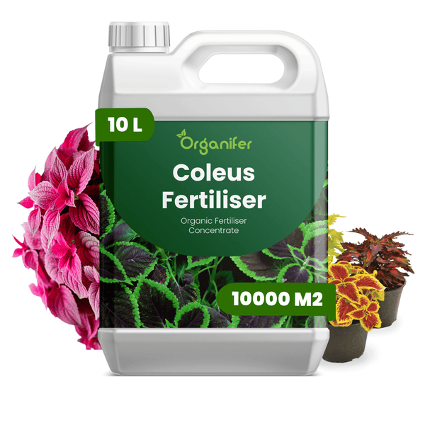 Organifer Coleus Dünger, organisches Düngerkonzentrat, 10 Liter Kanister für 10000 Quadratmeter, Company Name Logo