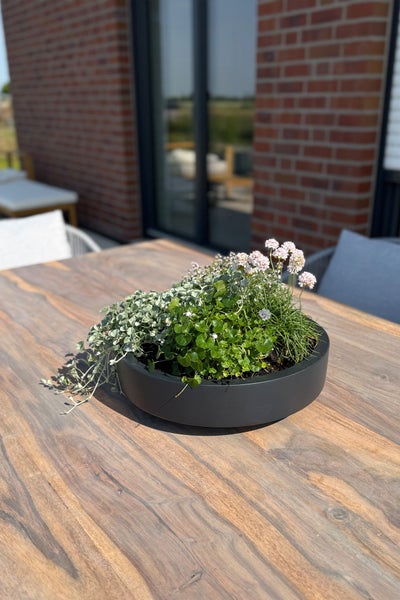 Moderner, runder schwarzer Pflanztopf mit verschiedenen Grünpflanzen und rosa Blüten auf einem großen Holztisch im Freien.
