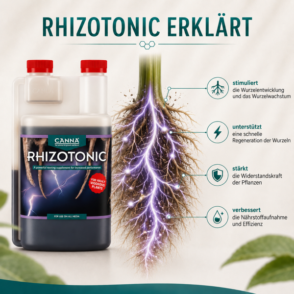 Produktinformation zu Canna Rhizotonic Wurzelstimulator mit grafischer Erläuterung der Wirkungsweise auf Pflanzenwurzeln.