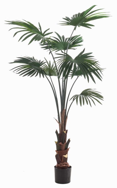 Künstliche Livistona-Palme im schwarzen Kunststofftopf mit naturgetreuen Palmwedeln.