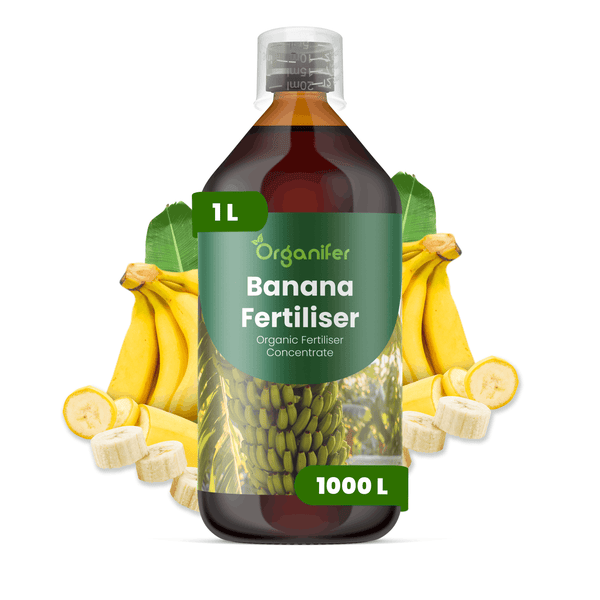 Organifer Bananendünger, 1 Liter Flasche organisches Düngerkonzentrat für 1000 Liter, mit Bananen.