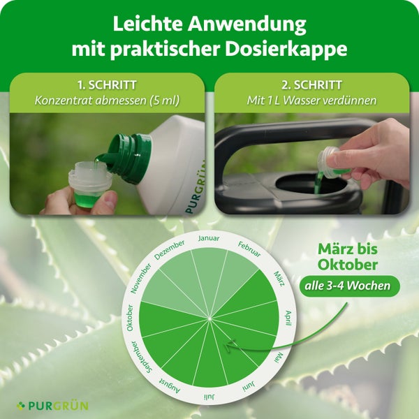 Anwendungshinweise für Purgrün Pflanzendünger: Schritt für Schritt Anleitung zur Dosierung und ein Kalender für die Düngungsintervalle.