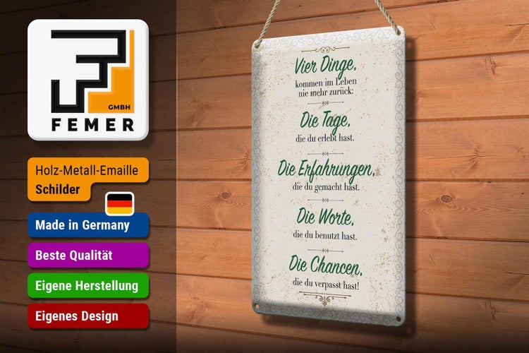 Blechschild Spruch Vier Dinge kommen nie zurück 20x30cm