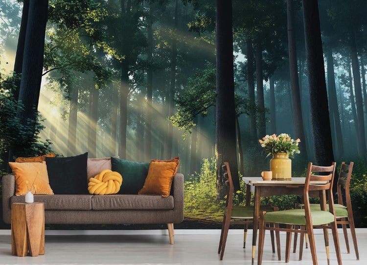 Fototapete Wald Sonne Bäume Wohnzimmer Vlies Tapete 250x175 cm
