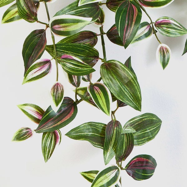 Künstliche Pflanze Tradescantia mit gestreiften Blättern in einer Nahaufnahme.