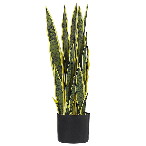 Künstliche Sansevieria im Topf