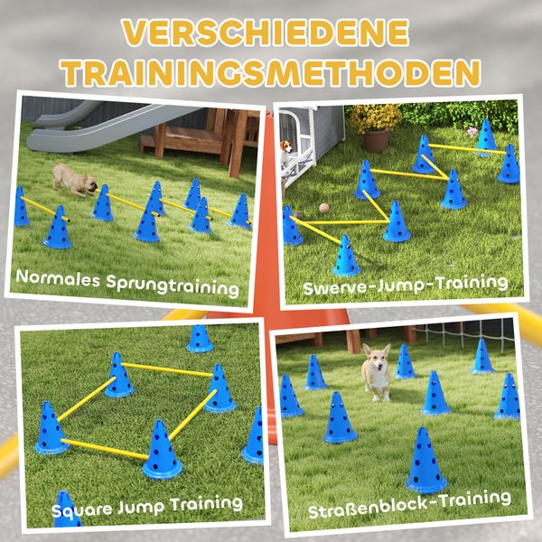 Infografik zu verschiedenen Hundetraining-Methoden wie Sprung- und Agility-Training mit blauen Pylonen und gelben Hürdenstangen auf einer Wiese.