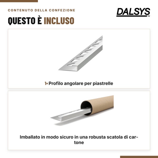 Dalsys Logo und Lieferumfang für Fliesenabschlussprofil inklusive stabiler Kartonverpackung.