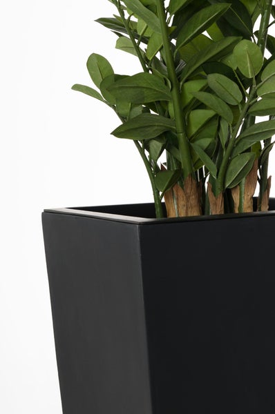 Künstliche Zamioculcas Pflanze in einem quadratischen schwarzen Pflanzkübel.