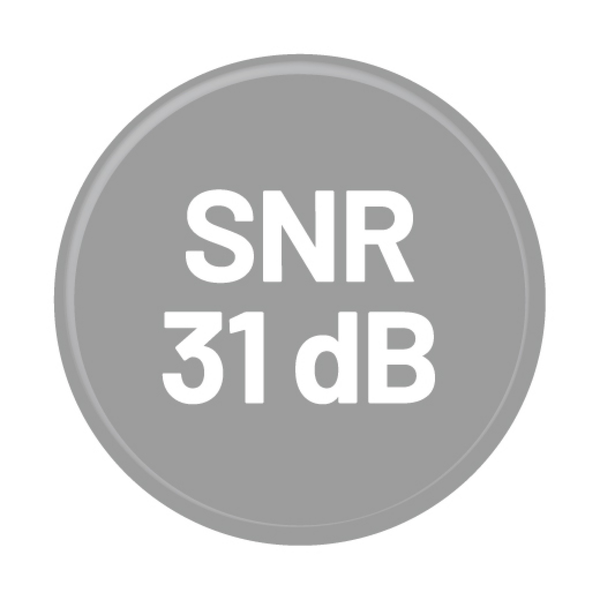 Symbol für einen SNR Wert von 31 Dezibel für Gehörschutz