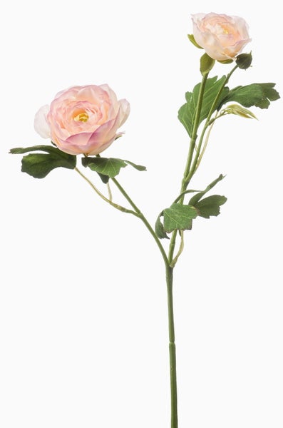 Künstliche Ranunkel mit zwei rosa Blüten und grünem Stiel.
