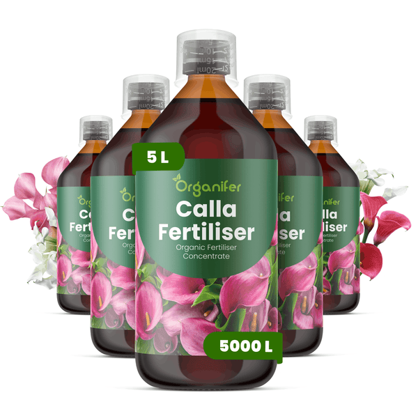 Organifer Calla Dünger, organisches Konzentrat, 5 Liter Flasche, Abbildung mit fünf Flaschen und Calla-Blüten.