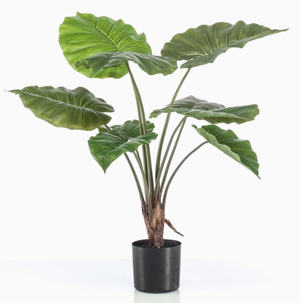 Künstliche Alocasia im schwarzen Kunststofftopf mit großen, grünen Blättern.