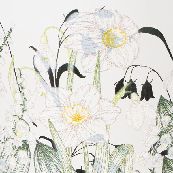 Tapete mit floralem Frühlingsmotiv mit Narzissen und Glockenblumen als botanische Illustration