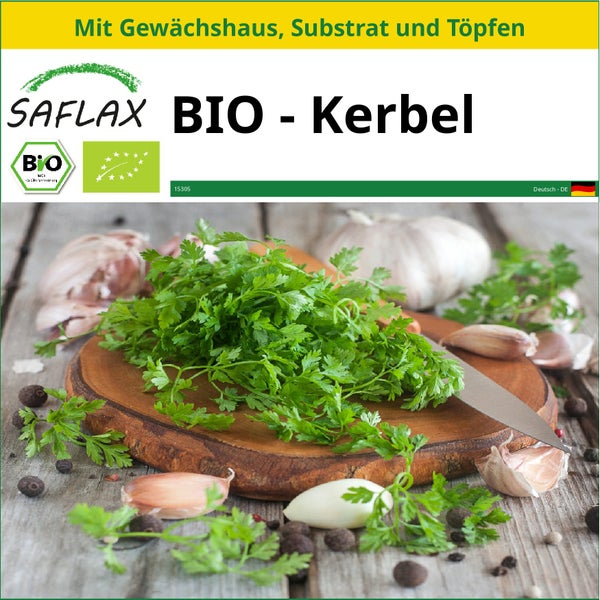 SAFLAX Anzucht Set - BIO - Kerbel - Anthriscus cerefolium - 800 Samen - Mit Mini-Gewächshaus, Anzuchtsubstrat und 2 Töpfen