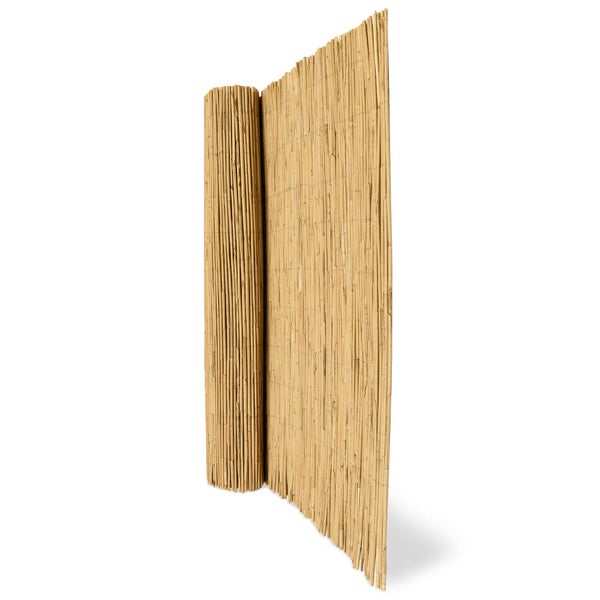 Sol Royal SolVision S36 Sichtschutzzaun 100x300cm Schilf