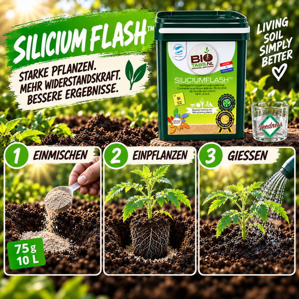 BioTabs Silicium Flash Pflanzendünger im Eimer mit Anleitung zur Anwendung in drei Schritten für starke Pflanzen und bessere Ergebnisse.
