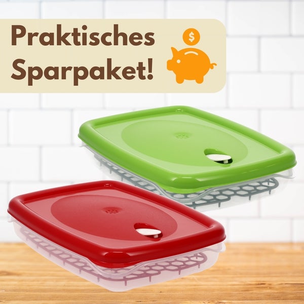 Praktisches Sparpaket mit zwei Frischhaltedosen mit Deckel