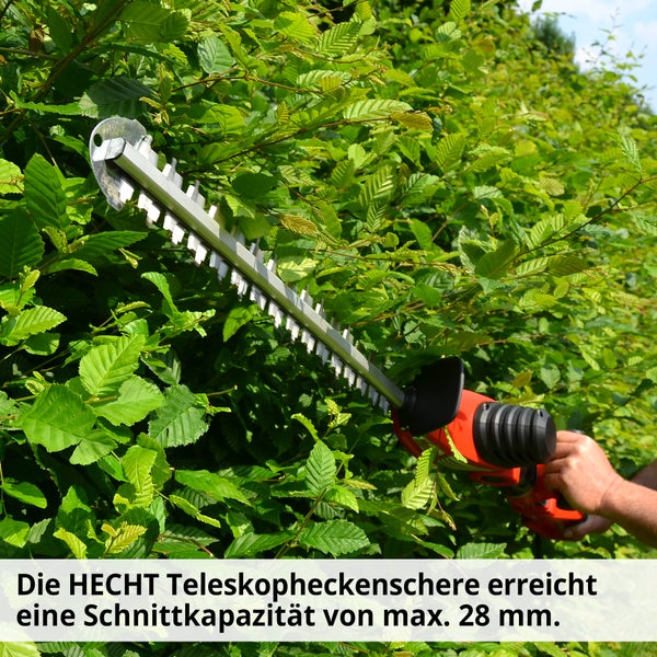 Teleskop Heckenschere im Einsatz an einer Hecke