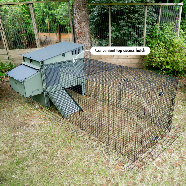 Grüner Hühnerstall mit schwarzem Drahtauslauf im Freien auf Gras und praktischer Zugangsklappe oben.
