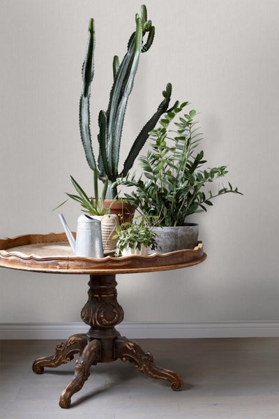 Dekorative Zimmerpflanzen mit Gießkanne auf einem verzierten Tisch