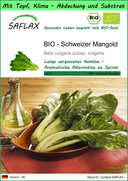 SAFLAX Garden to go - BIO - Schweizer Mangold - Beta vulgaris subsp. vulgaris - 150 Samen - Mit Topf, Klima - Deckel und Anzuchtsubstrat