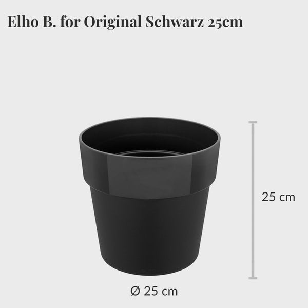 Monstera Deliciosa Fensterblatt mit schwarzem Keramik-Übertopf, pflegeleichte luftreinigende Zimmerpflanze, Höhe 70–80 cm, Topf 19–21 cm