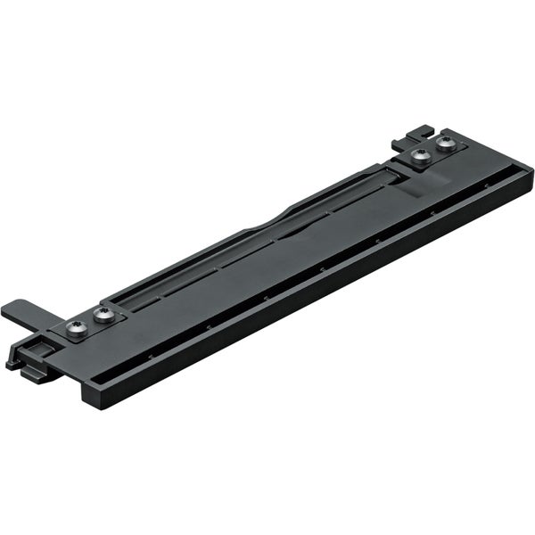 Nahaufnahme von pinkfarbenen Primelblüten im Gartenbeet