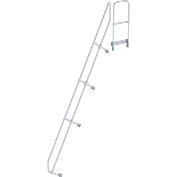 Ficus Ginseng Bonsai im Topf