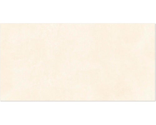 Wand- und Bodenfliese Europa beige 31x62cm matt