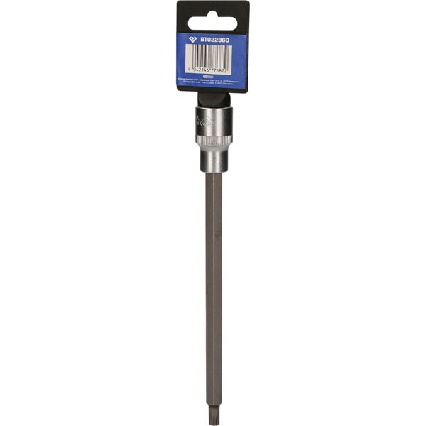 Torx-Bit-Einsatz für Schraubarbeiten