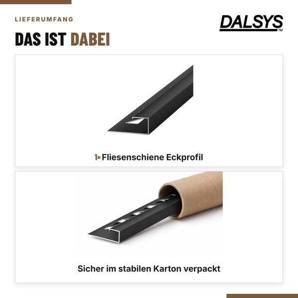 Dalsys Logo und Lieferumfang bestehend aus einer Fliesenschiene als Eckprofil sicher verpackt in einer stabilen Kartonhülse