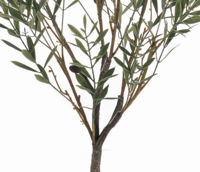 Detailansicht einer Kunstpflanze Olivenbaum mit grünen Blättern und dunklen Oliven an den Zweigen.