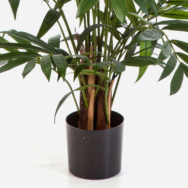 Künstlicher Orchideenzweig mit weißen Blüten und grünen Knospen.