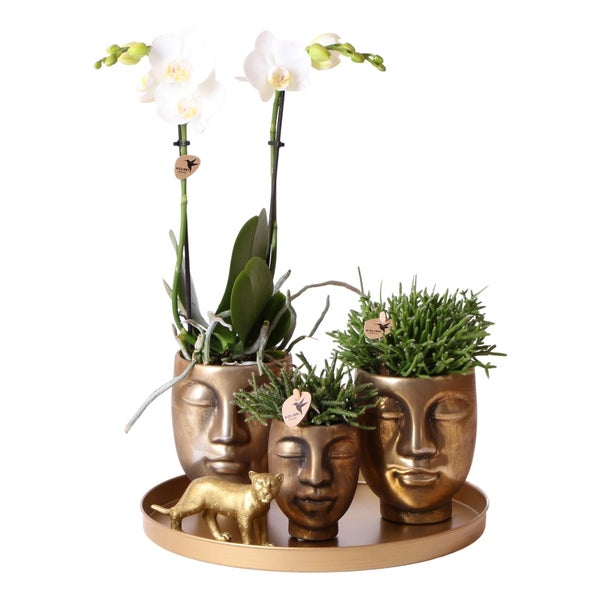 Übertopf Face - Form eines zarten harmonischen Gesichts - gold - passend für 9cm Töpfe