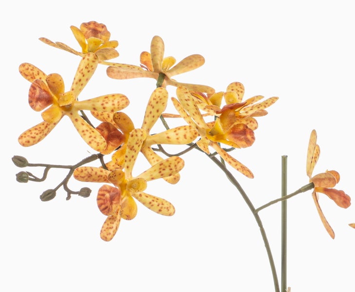 Künstlicher Orchideenzweig Vanda mit gelb-braun gemusterten Blüten und Knospen.