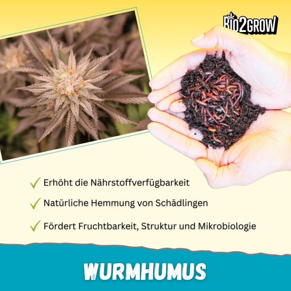 Wurmhumus Produktbild mit Marihuana Pflanze und Händen, die Erde mit Würmern halten, mit Bio2Grow Logo. Erhöht Nährstoffverfügbarkeit, natürliche Hemmung von Schädlingen, fördert Fruchtbarkeit, Struktur und Mikrobiologie.