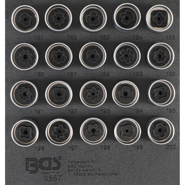BGS technic Felgenschloss Demontage Satz mit 20 Steckschlüssel Einsätzen in Schaumstoffeinlage nummeriert von 181 bis 200. BGS technic Logo.