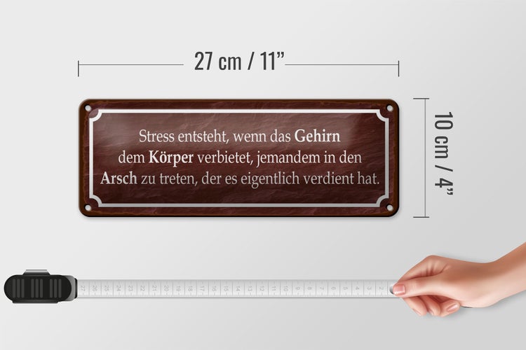 Blechschild Spruch 27x10cm Stress entsteht wenn das Gehirn Dekoration