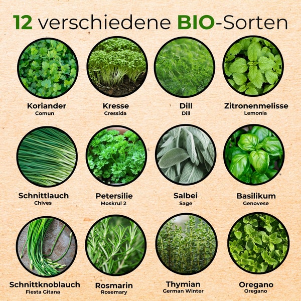 Übersicht von 12 verschiedenen biologischen Kräutersorten wie Koriander, Kresse, Dill, Melisse, Schnittlauch, Petersilie, Salbei und Basilikum.