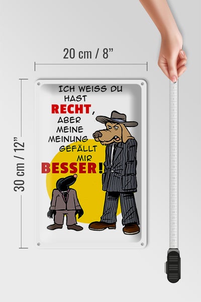 Blechschild Spruch 20x30cm meine Meinung gefällt mir besser